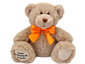 Luke - Brainwave Teddy Bear