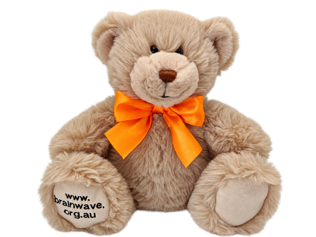 Luke - Brainwave Teddy Bear