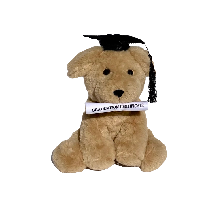 Honey Graduation Dog