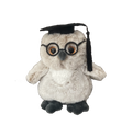 Owlbert Graduation Owl