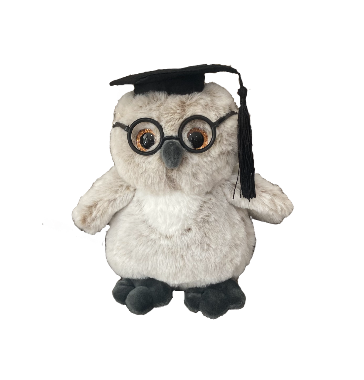 Owlbert Graduation Owl